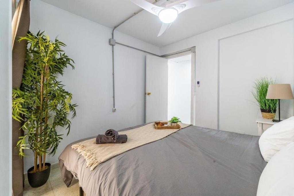 Seaside Boutique Apartment フエンヒロラ エクステリア 写真